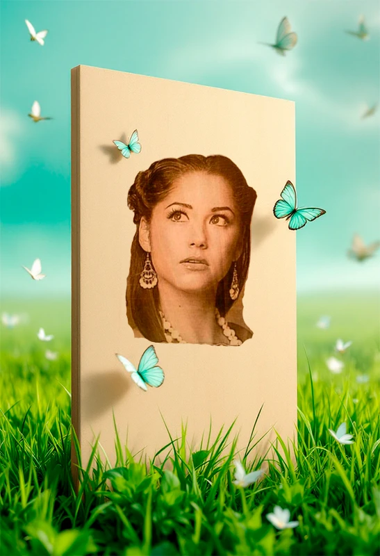 Какой сорт фанеры выбрать | Лазерная резка и гравировка