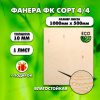 Строительная Фанера, 10х1000х500, 1 лист, сорт 4/4