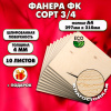 Фанера для уроков труда, 4мм А4 (210х297), 10 штук, сорт 3/4