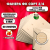 Фанера для уроков труда, 8мм А3 (420 х 297), 20 штук, сорт 3/4