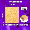 ОСП шлифованная толщина 18мм 300х300мм 1 лист