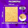 ОСП шлифованная толщина 12мм 500х500мм 1 лист