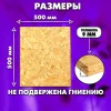 ОСП шлифованная толщина 9мм 500х500мм 1 лист