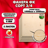 Строительная Фанера для мебели, 4х1000х1000, 5 листов, сорт 3/4