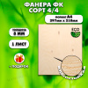 Фанера для уроков труда, 8мм А4 (210х297), 1 штука, сорт 4/4