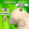 Фанера для уроков труда, 6мм А3 (420 х 297), 40 штук, сорт 4/4