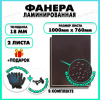 Фанера ФСФ ламинированная F/F 18х1000х760мм 2 листа